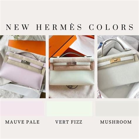 what color is hermes plombe|pursebop hermes colors.